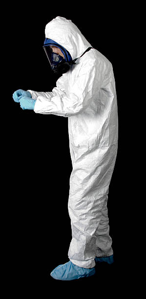  Turlock, CA Mold Removal Pros