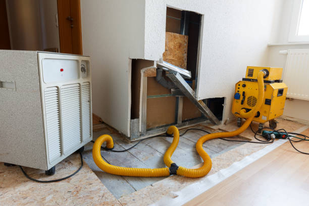 Best Air Quality Testing for Mold Spores  in Turlock, CA