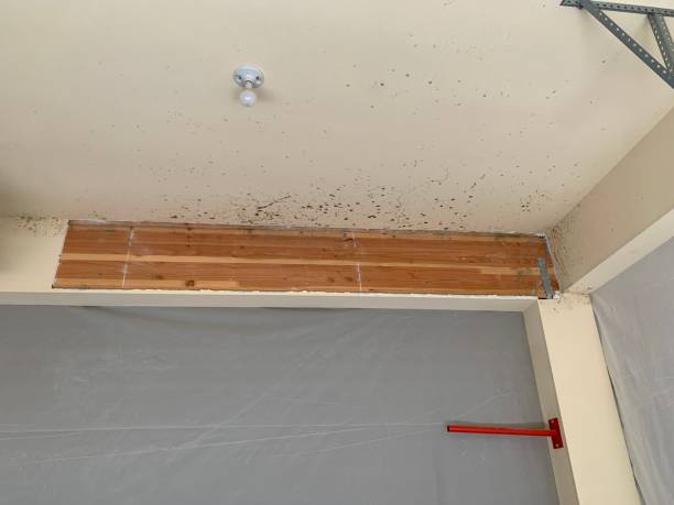 Best Dehumidification Services  in Turlock, CA
