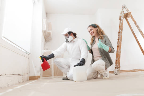 Best Commercial Mold Inspection  in Turlock, CA