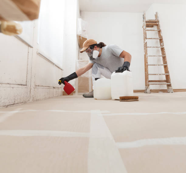 Best Mold Damage Restoration  in Turlock, CA